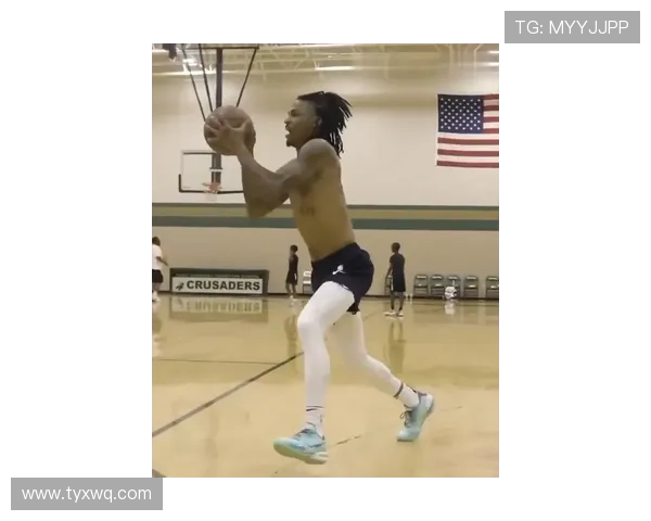 Vini 如何度过休赛期？